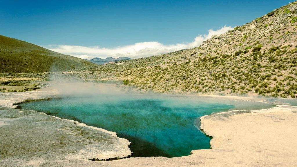 Nascente intermitente na Serra Fina com musgo e vegetação fechada ao redor